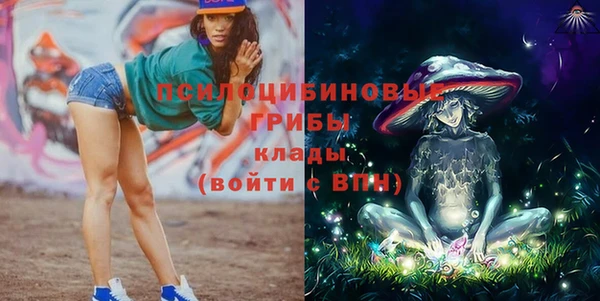 амф Горняк