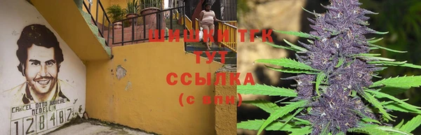 амф Вязники